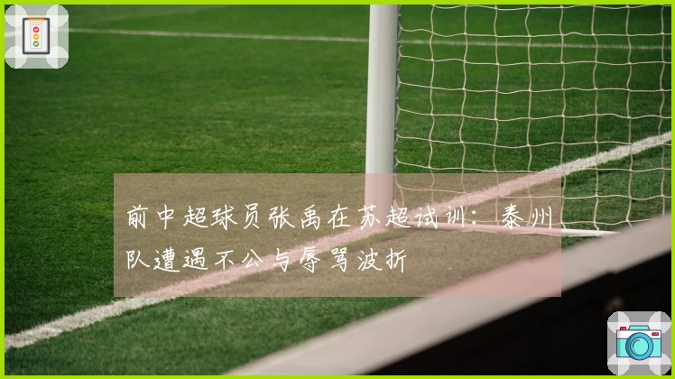 前中超球员张禹在苏超试训：泰州队遭遇不公与辱骂波折