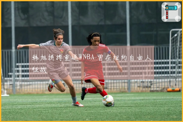 韩旭拼搏重返WNBA 曾在纽约自由人征战