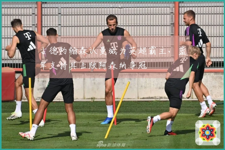 古德约翰森认曼城为英超霸主，蓝军支持其击败阿森纳争冠