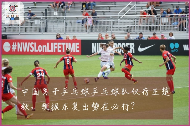 中国男子乒乓球乒乓球队仅存王楚钦，樊振东复出势在必行？